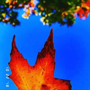 Meet your Posher, Bbella